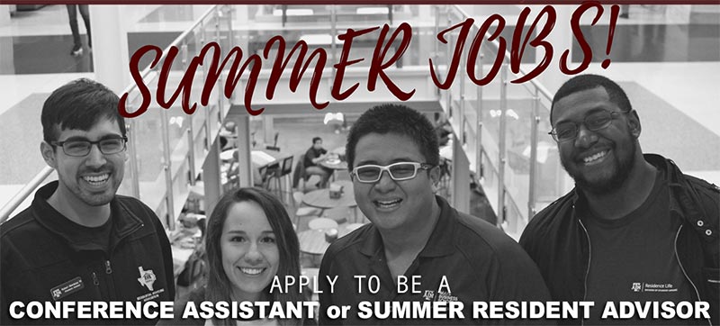 EMPLOYMENT_Summer_Assistants_Header