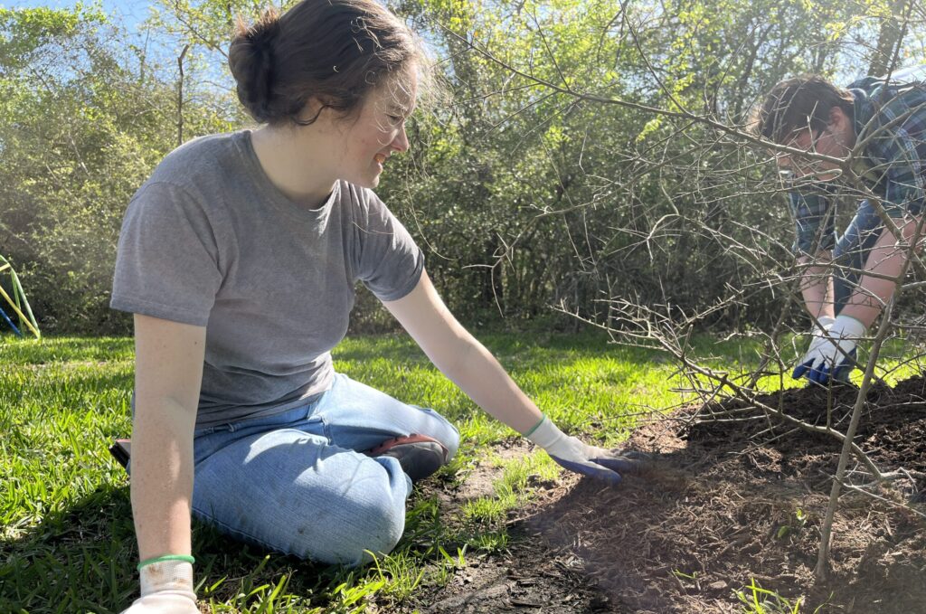 A woman sits on the grass planting a tree.