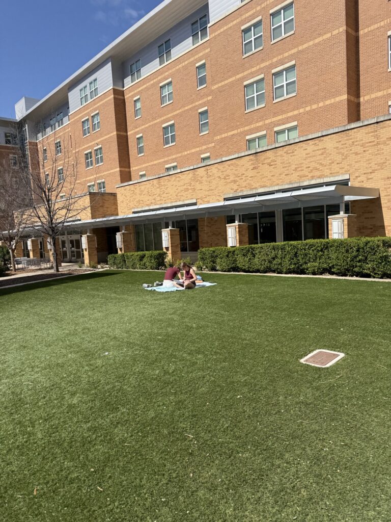 Students in Hullabaloo hall sitting