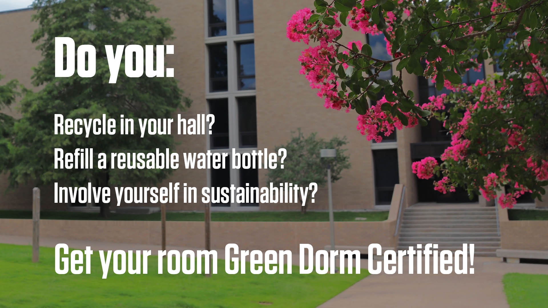 Find out more about Green Dorm Certification